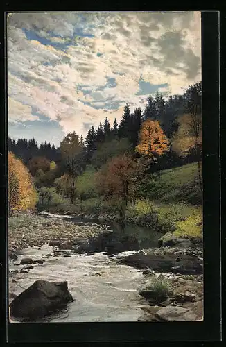 Künstler-AK Photochromie Nr. 2293: Flusspartie im Herbst