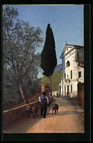 Künstler-AK Photochromie Nr. 1844: Strasse mit Kirche und Zypresse