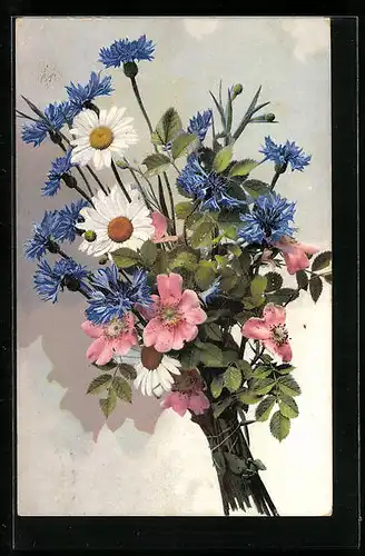 Künstler-AK Photochromie Nr. 666: Sommerblumenstrauss mit Kornblumen