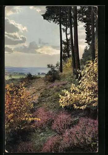 Künstler-AK Photochromie Nr. 2036: Waldrand mit Heidebüschen im Herbst