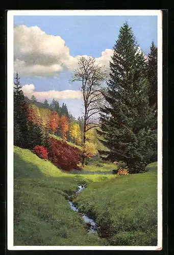 Künstler-AK Photochromie Nr. 5014: Herbstlandschaft mit Quelle