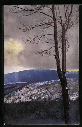 Künstler-AK Photochromie Nr. 4226: Berglandschaft mit Baum im Winter
