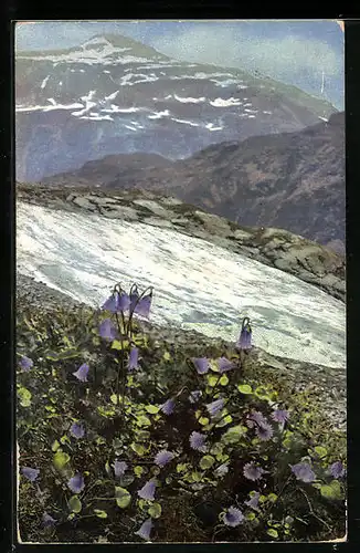 Künstler-AK Photochromie Nr. 524: Berglandschaft mit Soldanella Alpina