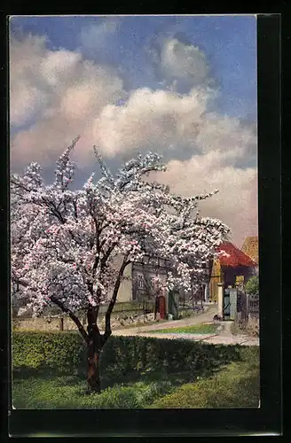 Künstler-AK Photochromie Nr. 4280: Blühender Baum in einer Ortschaft