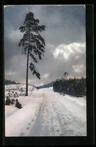 Künstler-AK Photochromie Nr. 1490: Verschneite Strasse mit Nadelbaum