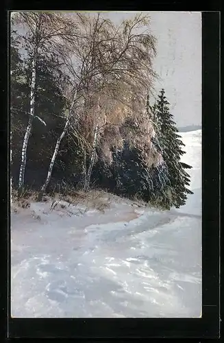 Künstler-AK Photochromie Nr. 1489: Rand eines Mischwaldes im Winter