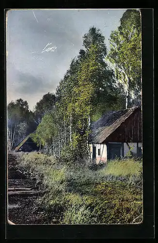 Künstler-AK Photochromie Nr. 1982: Katen am Rand eines Birkenwaldes