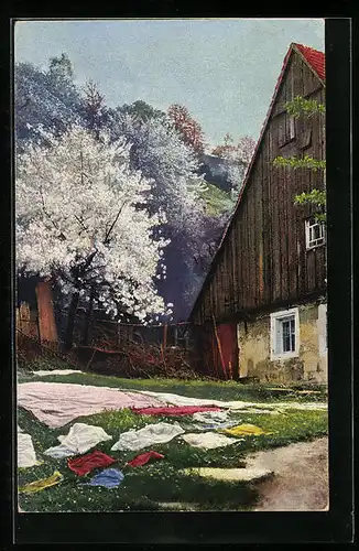 Künstler-AK Photochromie Nr. 4277: Ausgebreitete Wäsche vor einem Haus im Frühling