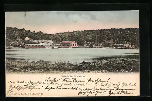 AK Berlin-Grunewald, Teilansicht mit Gewässer