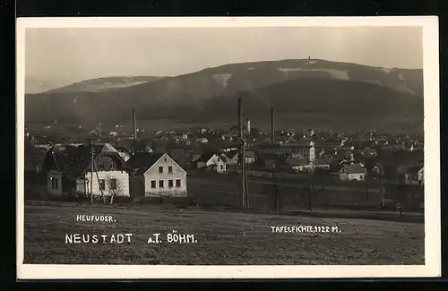 AK Neustadt a. T. /Böhm., Heufuder und Tafelfichte