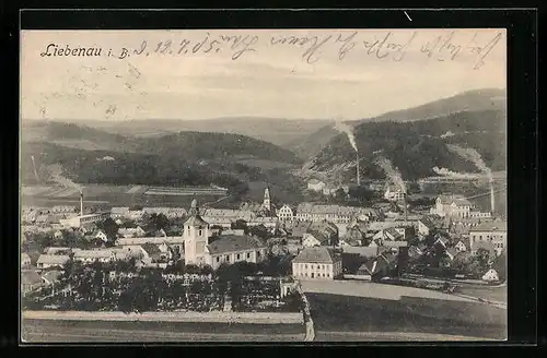 AK Liebenau i. B., Panorama