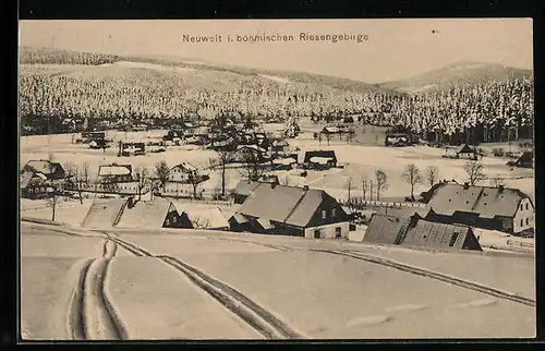 AK Neuwelt i. böhmischen Riesengebirge, Teilansicht im Schnee