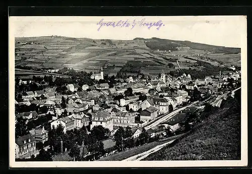 AK Graslitz /Erzgebirge, Blick auf die Musikstadt