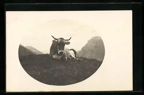 AK Liegende Kuh auf einer Alpenwise