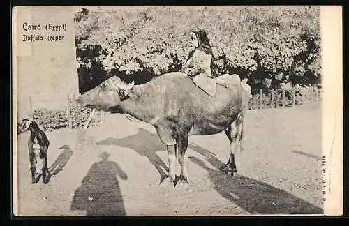 AK Cairo, Buffalo Keeper