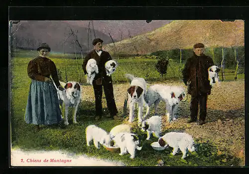 AK Chiens de Montagne, Bernhardiner mit Welpen und Züchtern