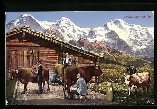 AK Bauern auf der Alp beim Melken ihrer Kühe