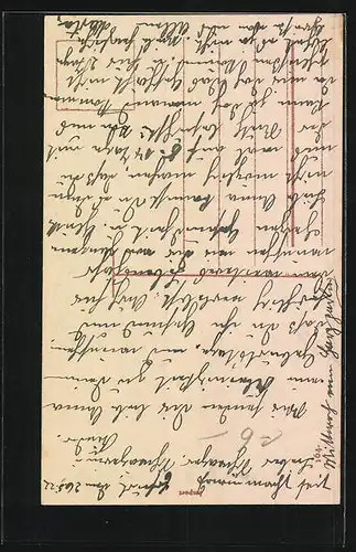 AK Knabe im Matrosenanzug mit Bernhardiner