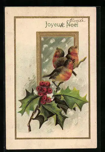 AK Drei Singvögel vor Ilex-Zweig, Neujahrsgruss