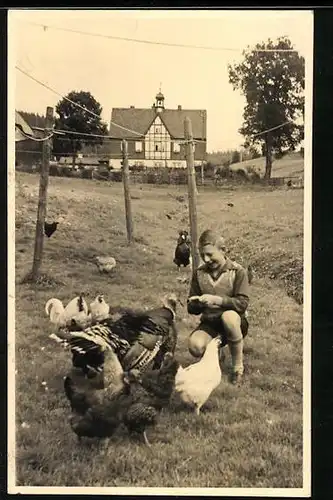AK Knabe und Hühnerschar auf einer Wiese