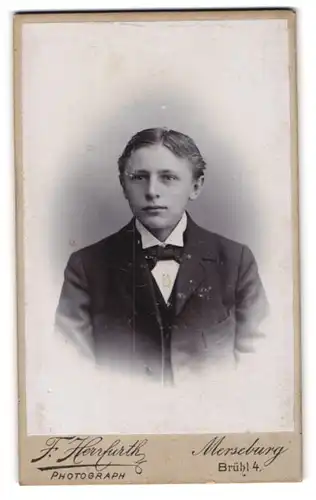 Fotografie F. Herrfurth, Merseburg, Brühl 4, Junger Mann im Anzug mit Fliege