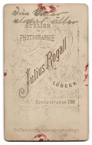 Fotografie Julius Rogall, Lübeck, Breitestr. 788, Junger Herr im Anzug mit Fliege