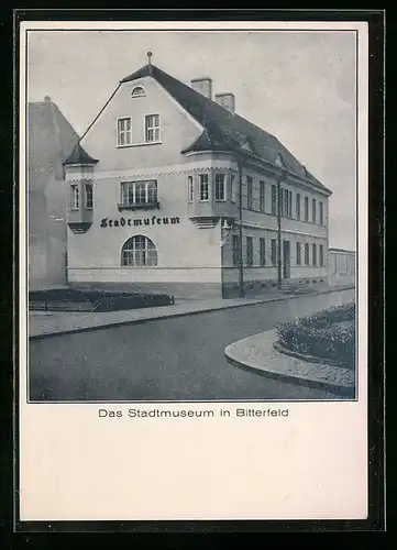 AK Bitterfeld, Strassenpartie am Stadtmuseum
