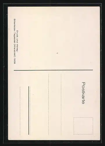 AK Bitterfeld, Strassenpartie am Stadtmuseum