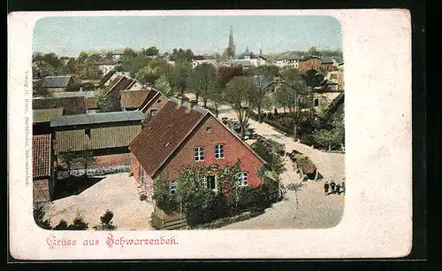 AK Schwarzenbek, Ortspartie mit Strasse