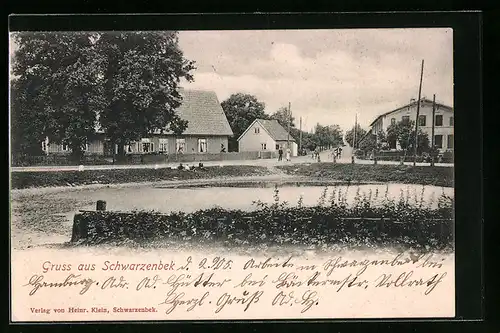 AK Schwarzenbek, Strassenpartie am Teich