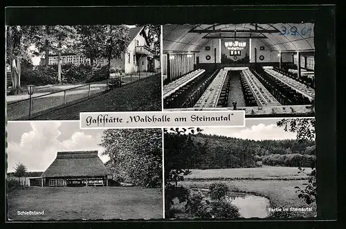 AK Büchen-Pötrau /Lauenb., Gasthaus Waldhalle am Steinautal, Innenansicht, Schiessstand