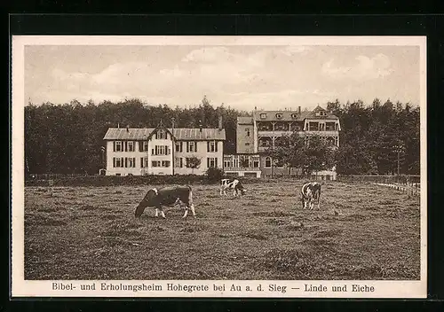 AK Au a. d. Sieg, Erholungsheim Hohegrete, Linde und Eiche