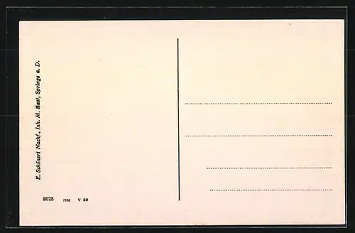 AK Springe a. D., Partie am Springbrunnen