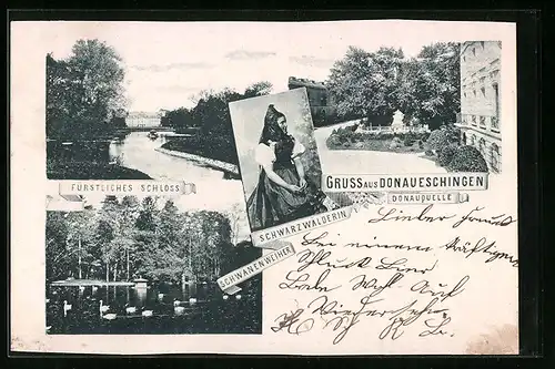 AK Donaueschingen, Fürstliches Schloss, Schwanenweiher, Donauquelle
