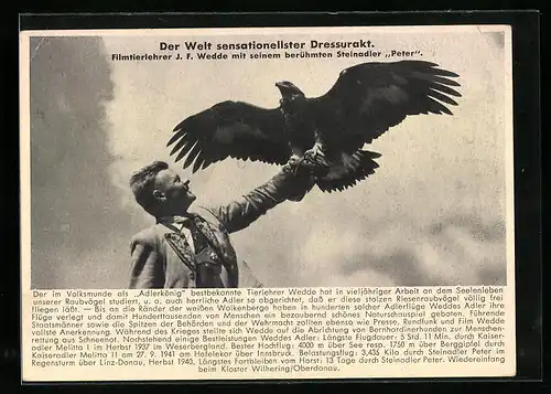 AK Filmtierlehrer J. F. Wedde mit seinem Steinadler Peter, Dressur