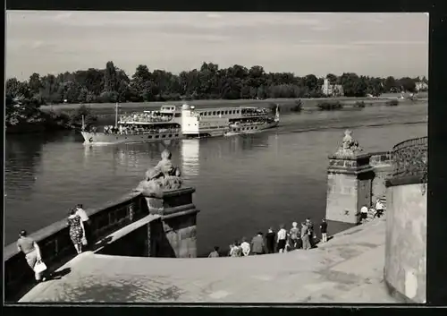 AK Dresden, MS Friedrich Engels am Schloss Pillnitz