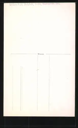 Foto-AK Bräutigam im Frack und Braut mit langem Schleier
