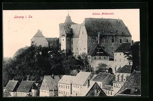 AK Leisnig i. Sa., Schloss Mildenstein