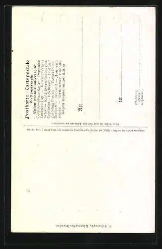 AK Herrnskretschen /Sächs. Böhm. Schweiz, Panorama
