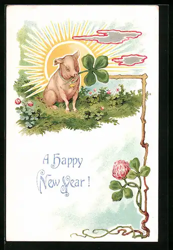 Präge-AK Schwein mit vierblättrigem Kleeblatt, Happy New Year!