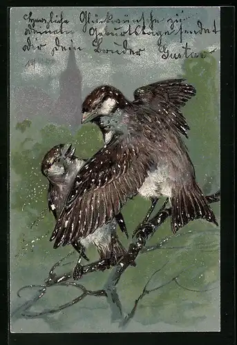 Präge-AK Zwei Singvögel auf einem Zweig
