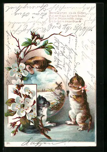 Lithographie Katzenkinder spielen an einem Landschaftsbild