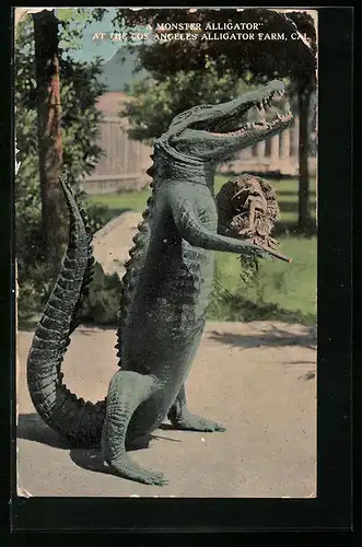 AK Los Angeles, Cal., A Monster Alligator at the Alligator Farm