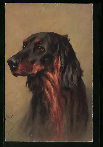 AK Portrait eines älteren Dackels