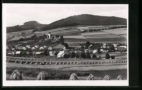 AK Kdyne /Sumava, Ortsansicht mit Heuhaufen auf Feldern