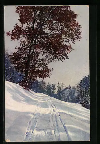 Künstler-AK Photochromie Nr. 4037: Verschneiter Weg am Waldrand