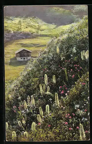 Künstler-AK Photochromie Nr. 1486: Ortspartie mit Haus und Alpenblumen