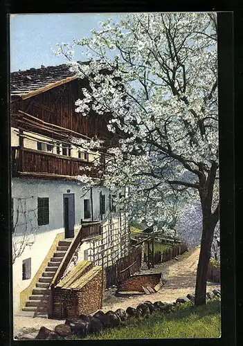 Künstler-AK Photochromie Nr. 2707: Süd-Tirol, Obstbaum in Blütenpracht vor dem Gasthaus