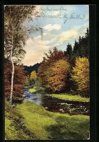 Künstler-AK Photochromie Nr. 2303: Partie am Bach im Herbst