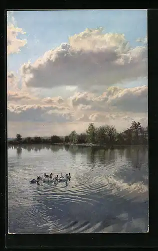 Künstler-AK Photochromie Nr. 1979: Entenfamilie auf einem See